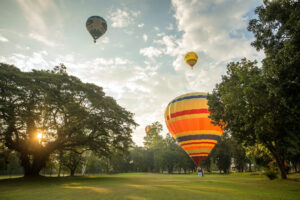 Napa Balloon Rides