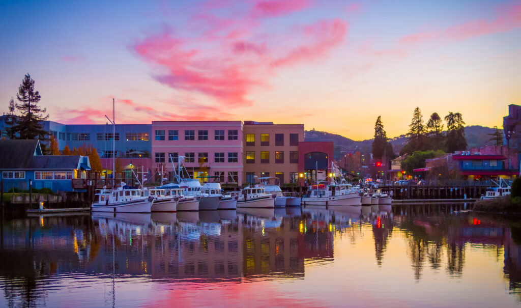 Petaluma Harbor Reflections